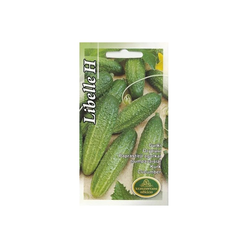 Sēklas gurķi libelle h
