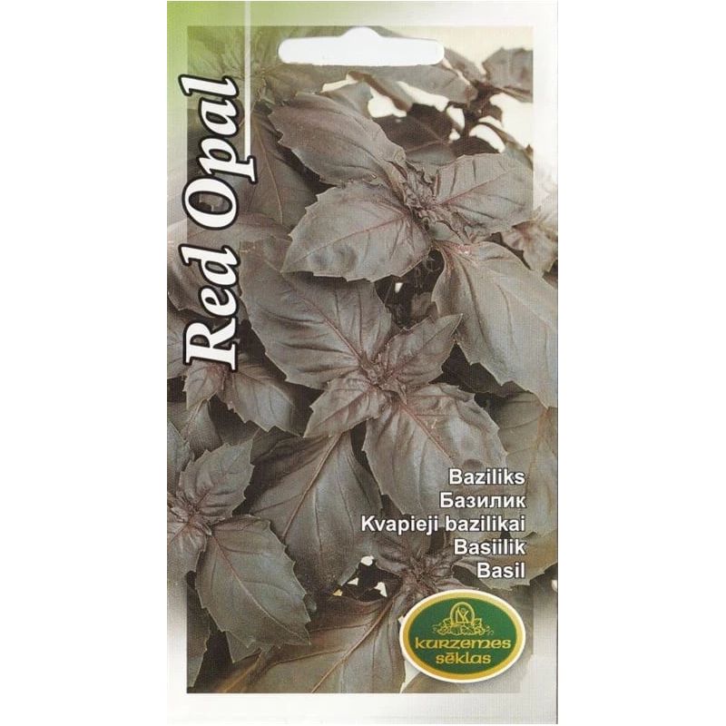Sēklas baziliks red opal