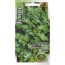 Sēklas selerijas jemny