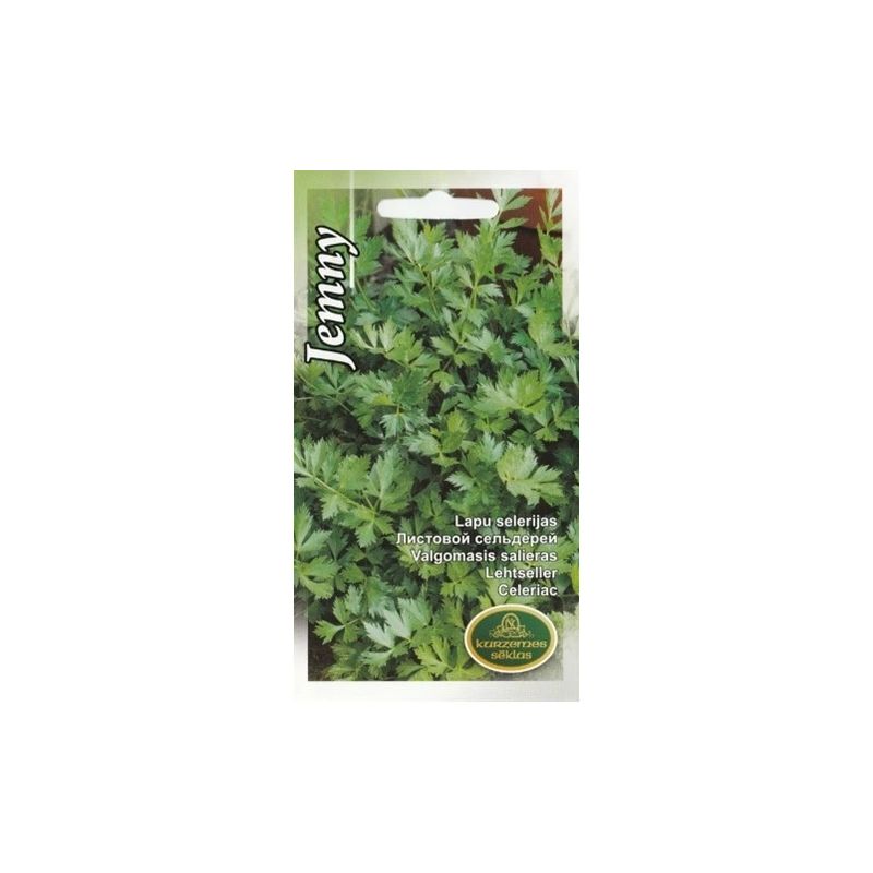 Sēklas selerijas jemny