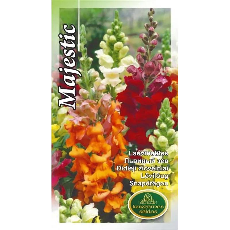 Sēklas Kurzemes sēklas lauvmutītes Majestic Seeds, 4 g