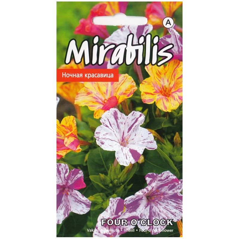 Sēklas mirabilis jauktais