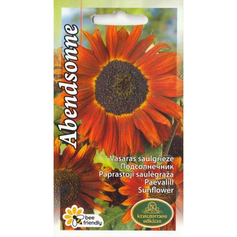 Sēklas vasaras saulgrieze abendsonne 1g