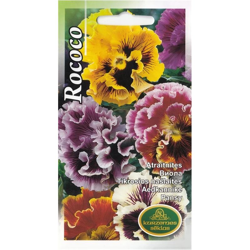 Sēklas atraitnītes rococo