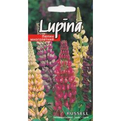 Sēklas lupīnas russell