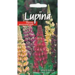 Sēklas lupīnas Russel Seeds, 4 g