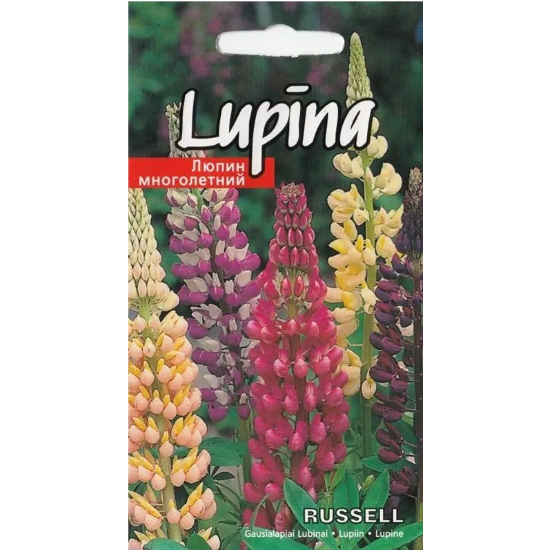 Sēklas lupīnas Russel Seeds, 4 g