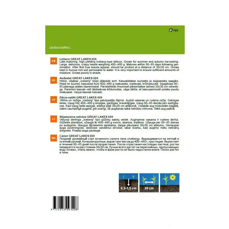 Sēklas salāti great lakes 659