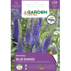 Sėklos Garden Center veronika Blue Shades, 0.5 g