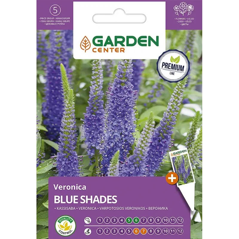 Sēklas Garden Center veronikas Blue Shades, 0.5 g