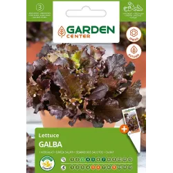 Seemned Garden Center, salat GALBA, 1 g
