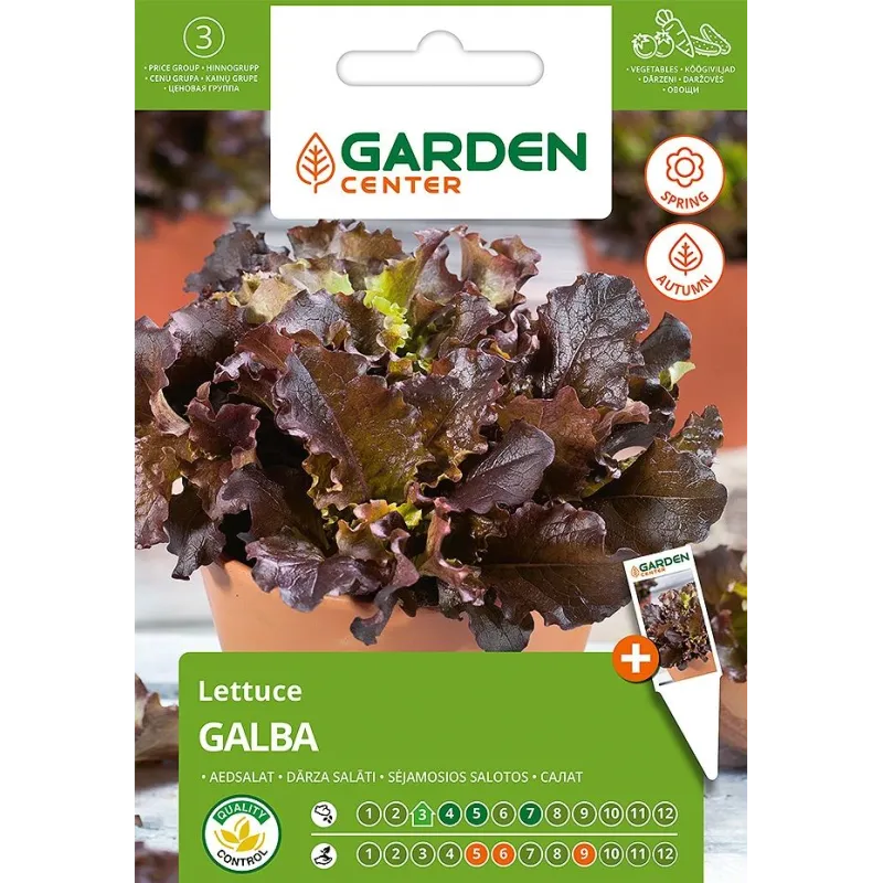 Sēklas Garden Center, salāti GALBA, 1 g