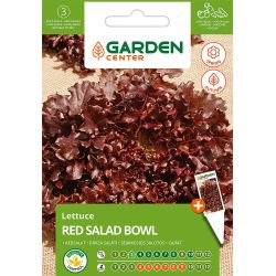 Sēklas dārzeņu salāti red salad bowl 1g