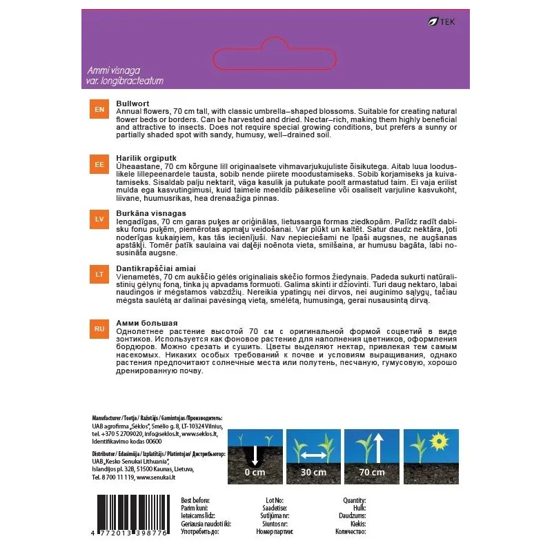 Sēklas Garden Center karalienes annas mežģīnes, 1 g