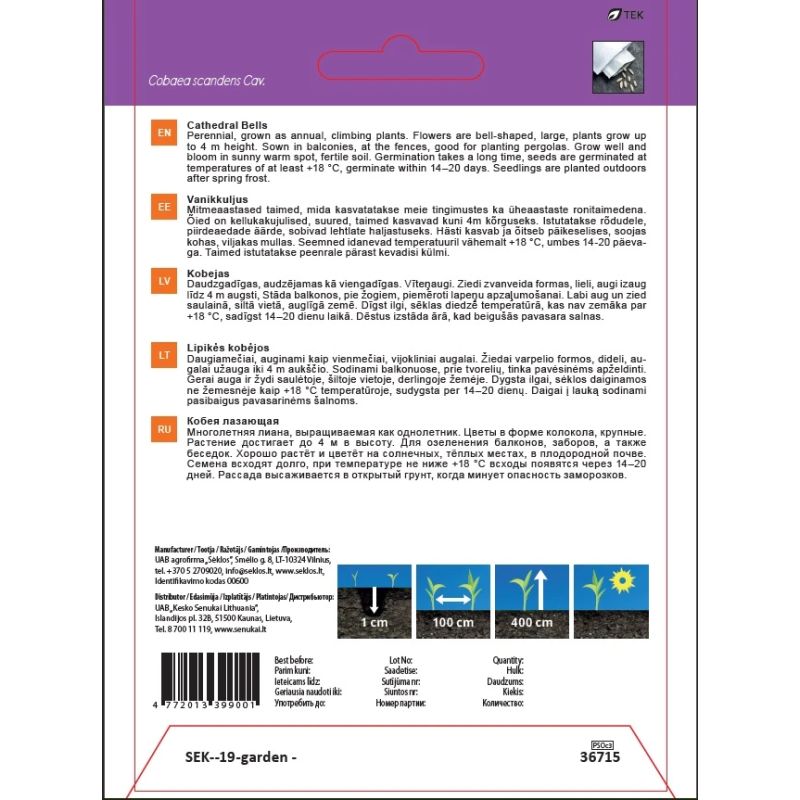 Sēklas ziedu kobejas 8s