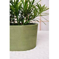 Puķu pods spw m-18c20 d20cm zaļš