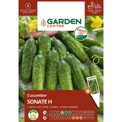 Sēklas dārzeņu kornišonu sonate h 10s