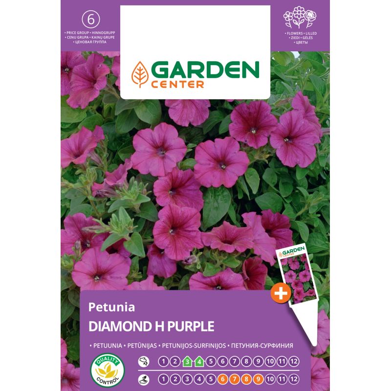Sēklas zie petūnijas diamond h purple 6s