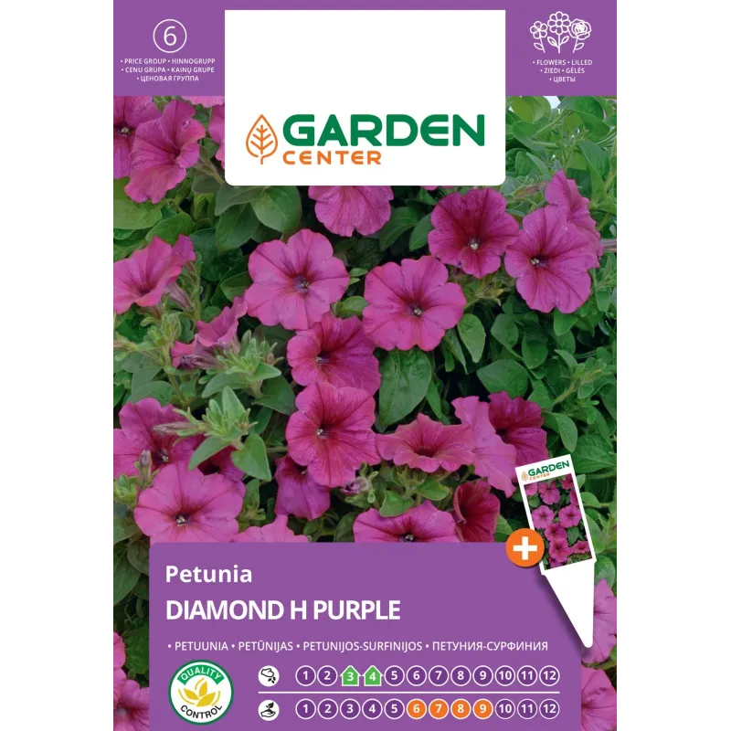 Sēklas Garden Center petūnijas DIAMOND H PURPLE, 6 gab.