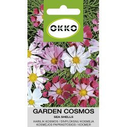 Ziedu sēklas kosmejas sea shells 1g