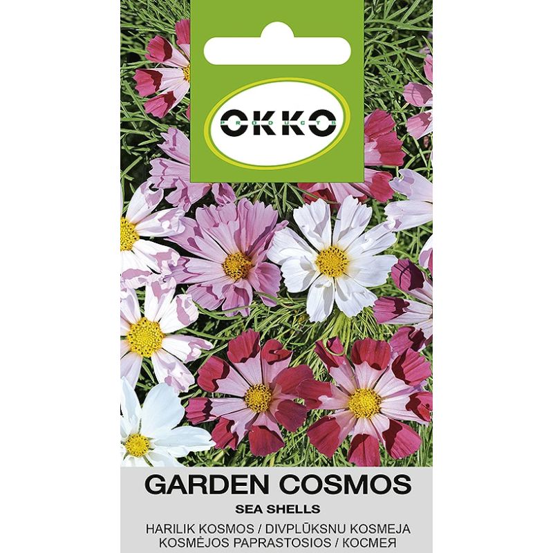 Ziedu sēklas kosmejas sea shells 1g