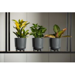 Puķupods pl.aria 226-04 160