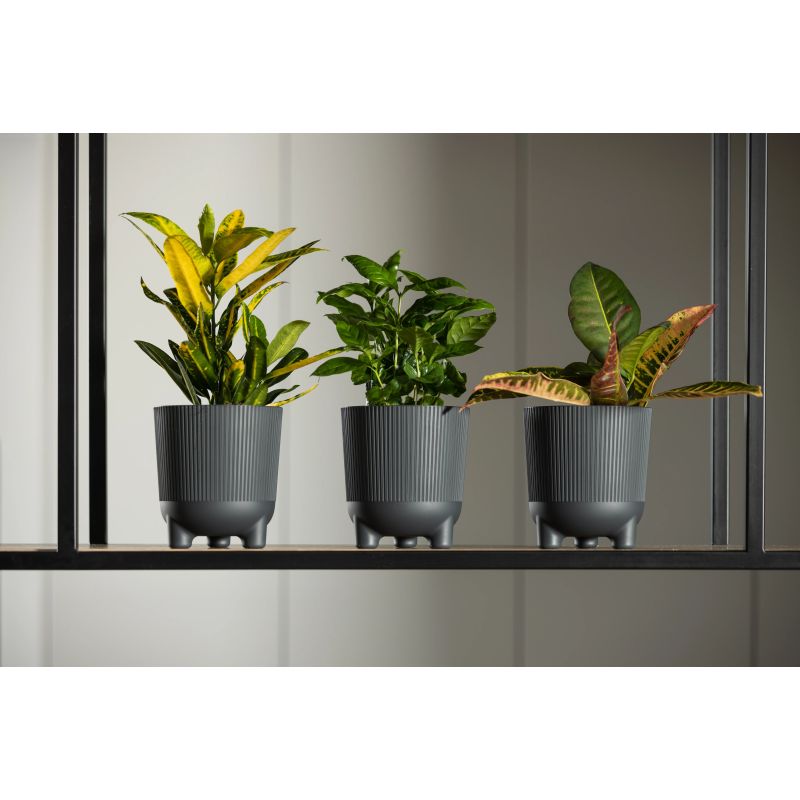 Puķupods pl.aria 226-04 160