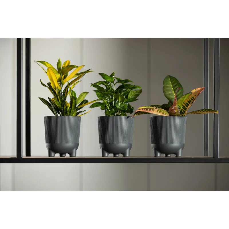 Puķu pods Lamela Aria 226-04, plastmasa, melna