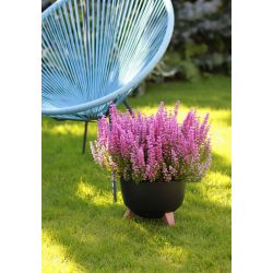 Puķupods pl. bowl roma 880-04 290