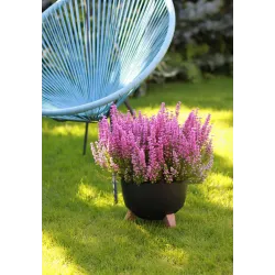 Цветочный горшок Lamela Roma 880-04, пластик, черный цв.