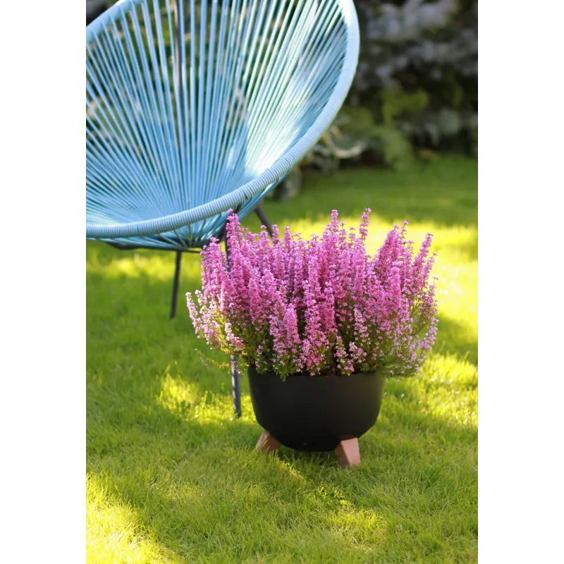 Puķu pods Lamela Roma 880-04, plastmasa, melna