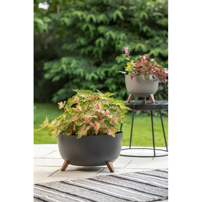 Puķu pods Lamela Roma 880-82, plastmasa, tumši pelēks