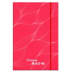 Mape ar gumiju a4 biezums 4cm