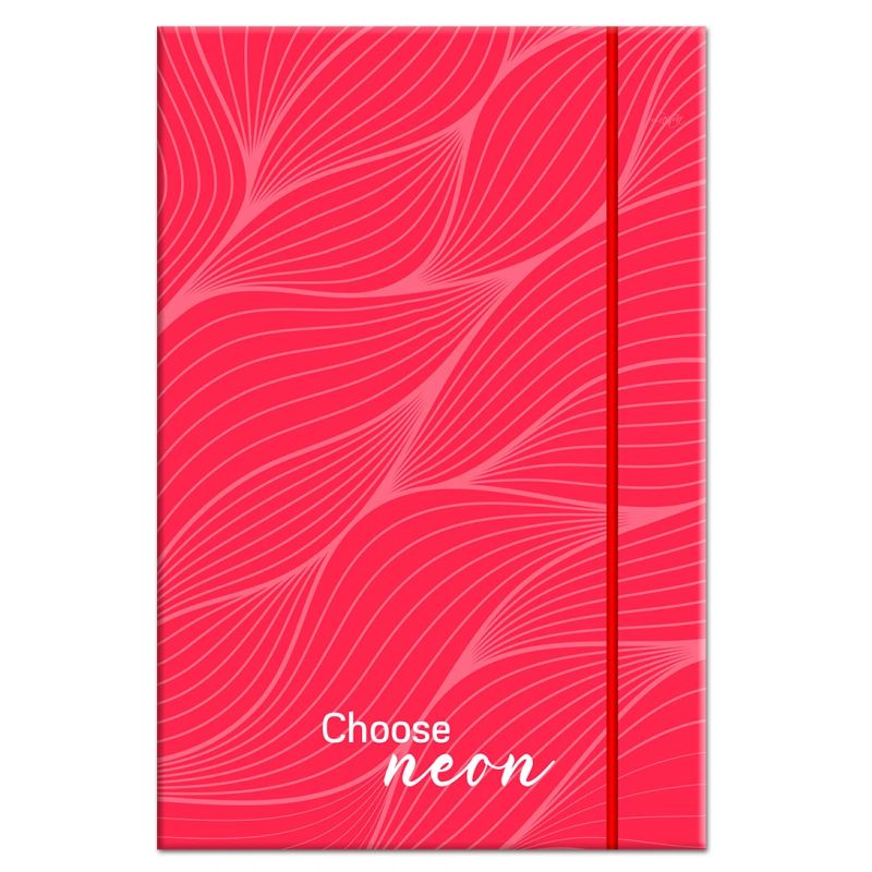 Mape ar gumiju a4 biezums 4cm