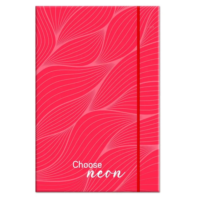 Mape ar gumiju a4 biezums 4cm