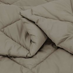 vidaXL Pilnas gada sega Gaiši pelēks 200 x 155 cm Mikrošķiedra