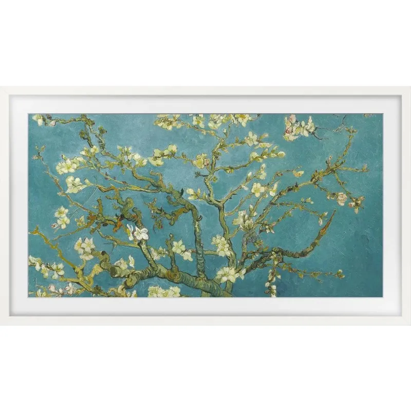 Rāmis Samsung VG-SCFC32WTBXC