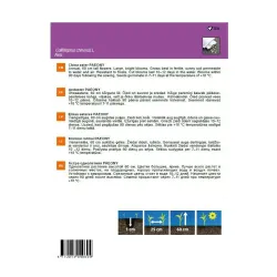 Семена Garden Center каллистефус Paeony, 0.5 г