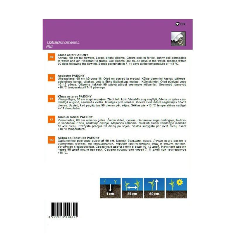 Sēklas Garden Center ķīnas astere Paeony, 0.5 g