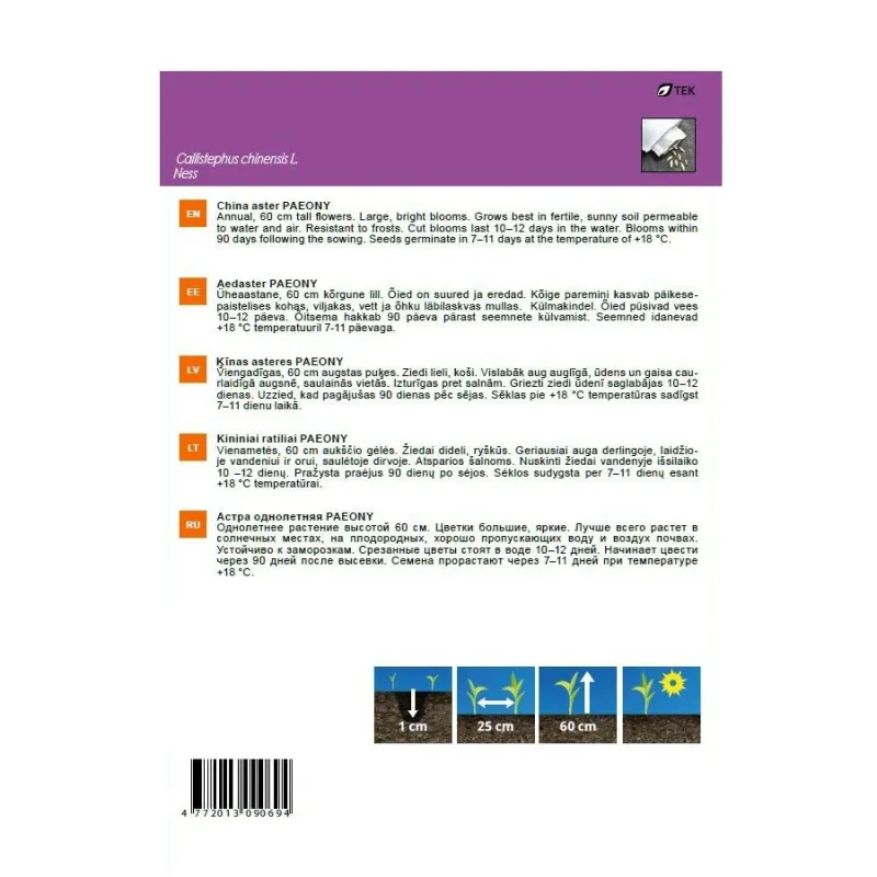 Sēklas Garden Center ķīnas astere Paeony, 0.5 g
