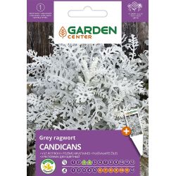 Sēklas pelēklapu krustaiņi candicans