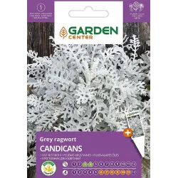 Sėklos Garden Center žilė Candicans, 0.2 g