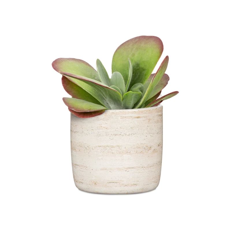 Gėlių vazonas Scheurich 69668, keramika, smėlio sp.