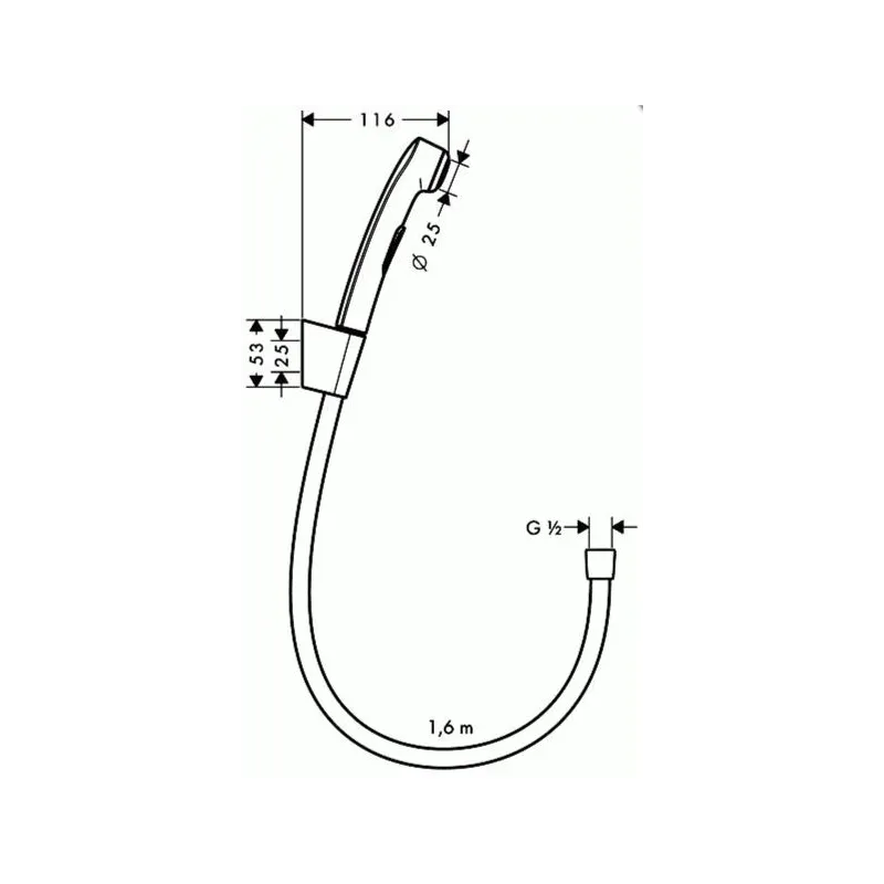 Bidē dušas galva Hansgrohe Bidetta 96907, hroma krās.