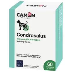 Condrosalus kapsulas suņiem 60gb.