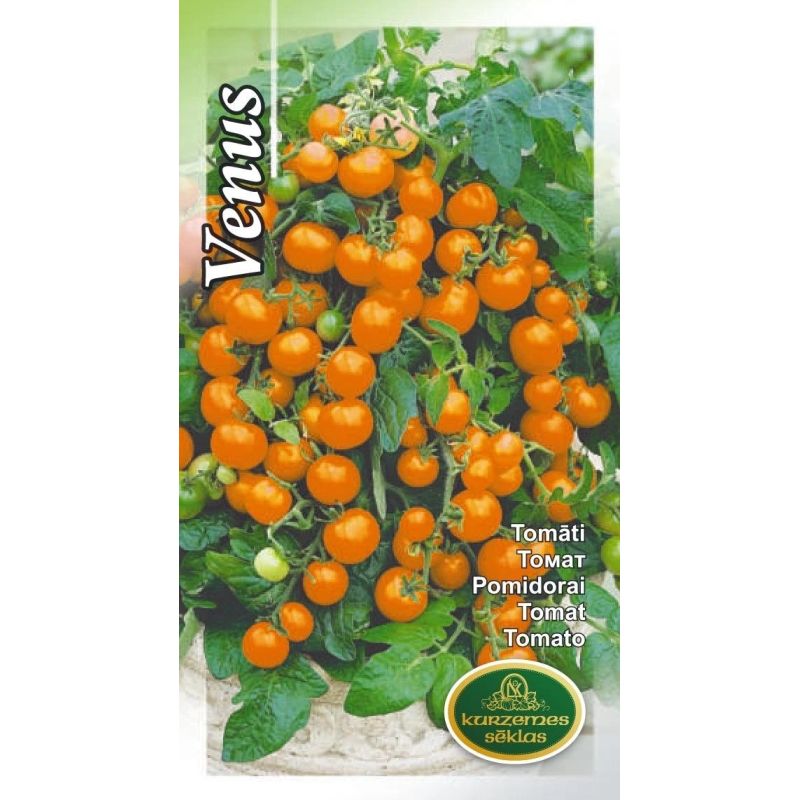 Sēklas tomāti venus