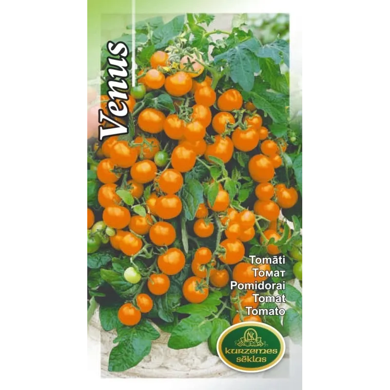 Sēklas Kurzemes sēklas, tomāti Venus, 0.1 g