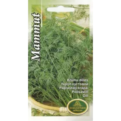 Sēklas Kurzemes sēklas dilles Dill Mammut, 8 g