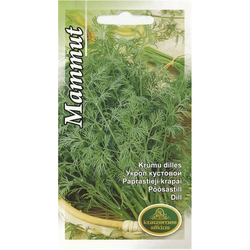 Sēklas Kurzemes sēklas dilles Dill Mammut, 8 g