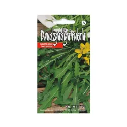 Sēklas Kurzemes sēklas rukola Olivetta, 1 g